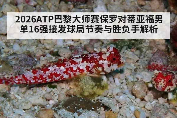 2026ATP巴黎大师赛保罗对蒂亚福男单16强接发球局节奏与胜负手解析